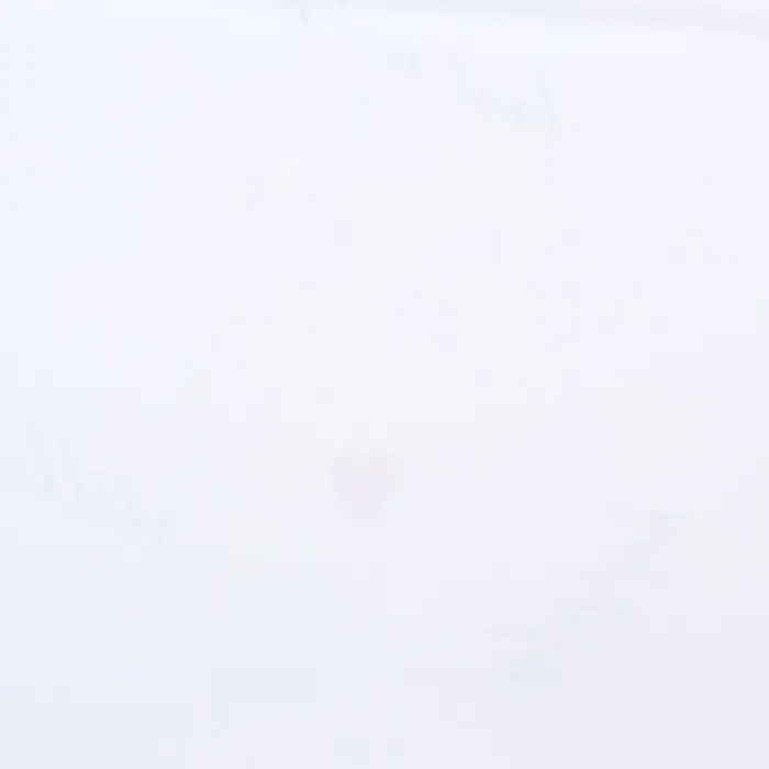 Пленка для цветов матовая, «Цветы с каймой», 58×58 см, белый