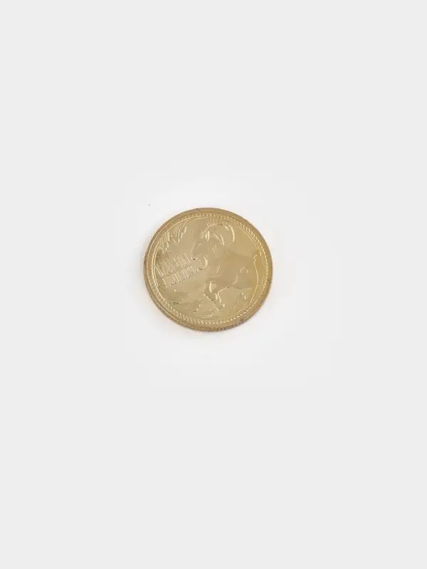 Монета металл &laquo;Богатства&raquo;, d=2.2 см