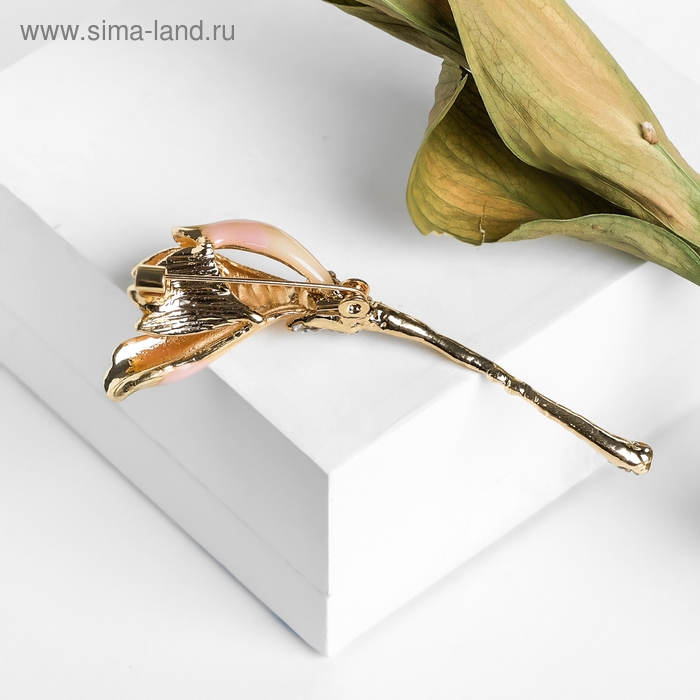 Брошь Брошь "Цветок" ирис, цвет бежевый в золоте