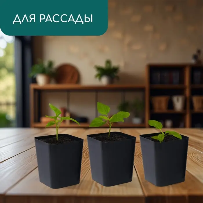 Горшок для рассады, 300 мл, d=7.5 см, h=7.5 см, пластик, чёрный, Greengo Горшок для рассады, 300 мл, d=7.5 см, h=7.5 см, пластик, чёрный, Greengo