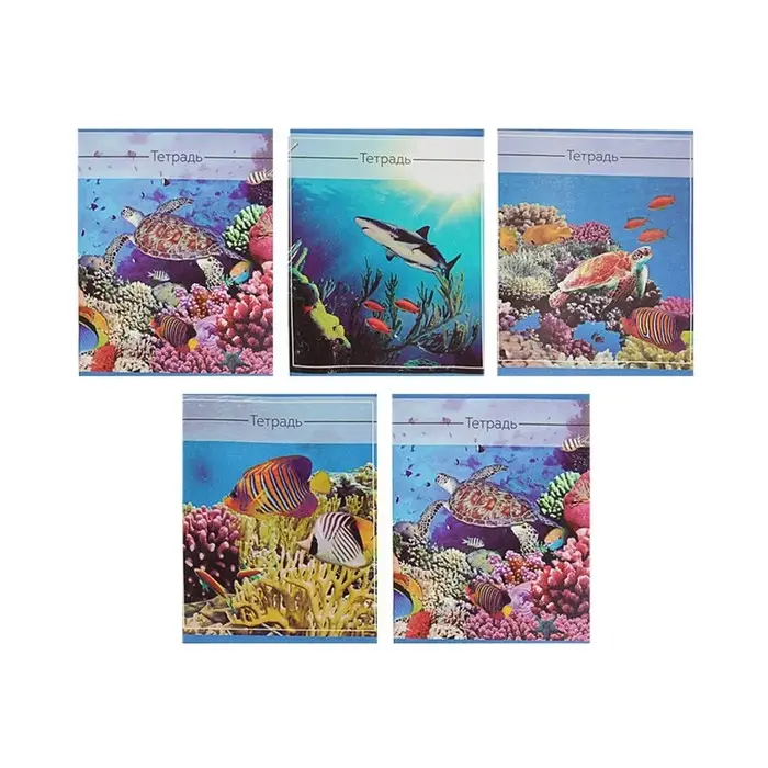 Тетрадь 36 листов в клетку, Calligrata «Океан», обложка мелованная бумага, серые листы, МИКС