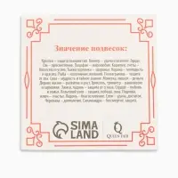 Браслет-оберег &laquo;Красная нить&raquo;, на богатство, монетка, цвет серебро, 35 см