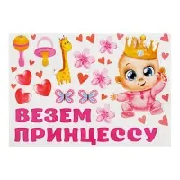 Набор магнитов на авто &laquo;Везем принцессу!&raquo;, на выписку