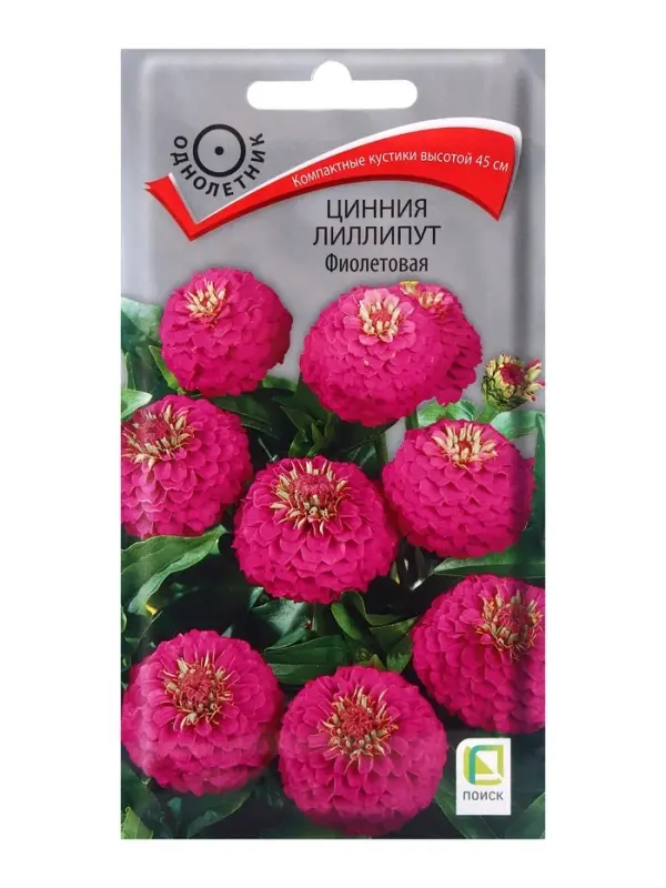 Семена цветов Цинния лиллипут Фиолетовая, 0,4гр Семена цветов Цинния лиллипут Фиолетовая, 0,4гр
