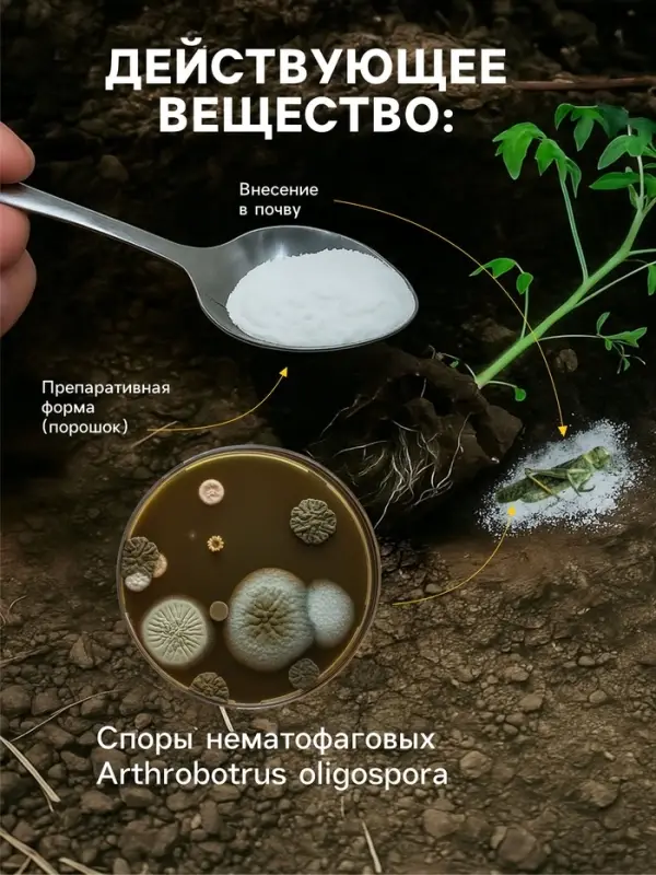 Средство от болезней растений &laquo;Флагрин-Д&raquo; (Нематодин), 100 г