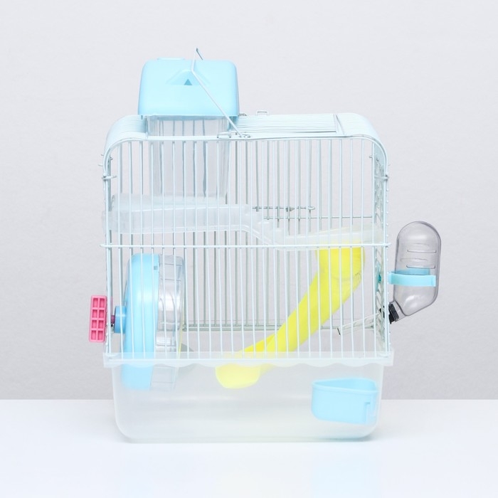 Клетка для грызунов Клетка для грызунов "Пижон", 23 х 17 х 33 см, прозрачная, голубое наполнение