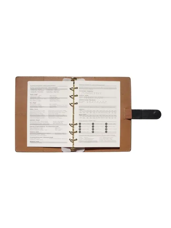 Органайзер на кольцах, C6, с хлястиком, 80л, линия, к/зам, Черный Органайзер на кольцах, C6, с хлястиком, 80л, линия, к/зам, Черный