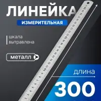 Линейка измерительная ТУНДРА, металлическая, шкала вытравлена, 300 мм