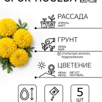 Семена Цветов Бархатцы &laquo;Тайшань желтый&raquo;, 5 шт.