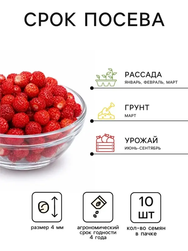 Семена Земляника &laquo;Зефир&raquo;, 10 шт., &laquo;Сибирский сад&raquo;