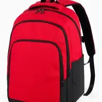 Рюкзак, водонепроницаемое дно, 2 отделения, 3 кармана, 31&times;14.5&times;45 см, красный