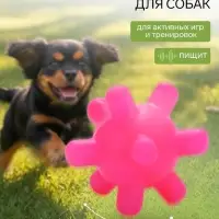 Игрушка для собак с пищалкой &laquo;Мячик, шипы&raquo;, 5 см, фуксия
