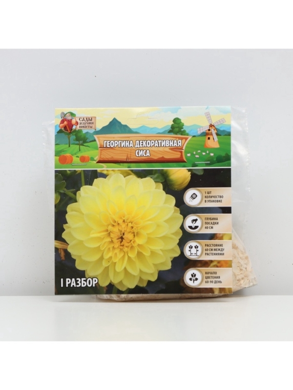 Георгина Декоративная «Сиса», клубелуковица в упаковке, р-р I, 1 шт.