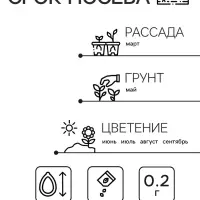 Семена цветов Флокс &laquo;Звездный дождь&raquo;, смесь окрасок, однолетник, 0.2 г, &laquo;Аэлита&raquo;