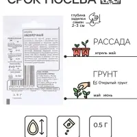 Семена Огурец &laquo;Засолочный&raquo;, 0.5 г