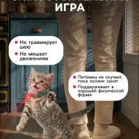 Ошейник-лазер для кошек, USB, зелёный