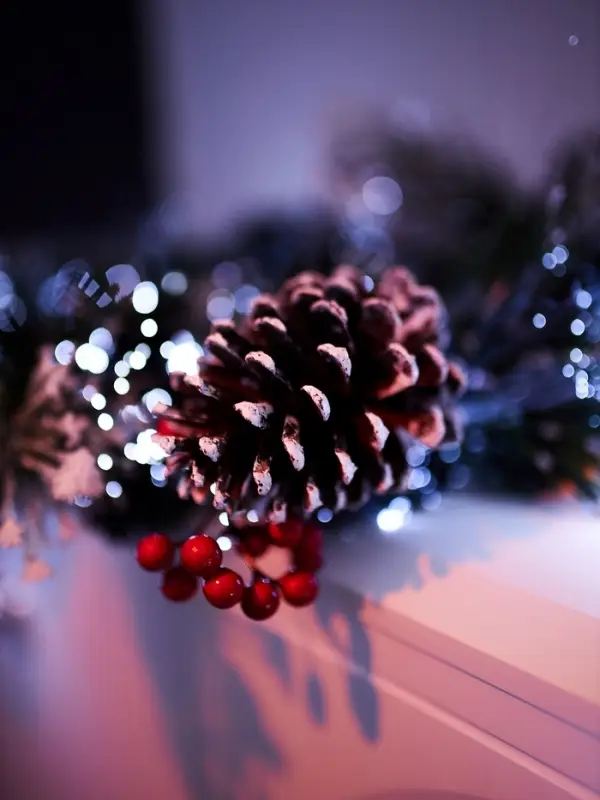 Хвойная гирлянда светодиодная &laquo;Заснеженная&raquo; 200 см, 8 режимов