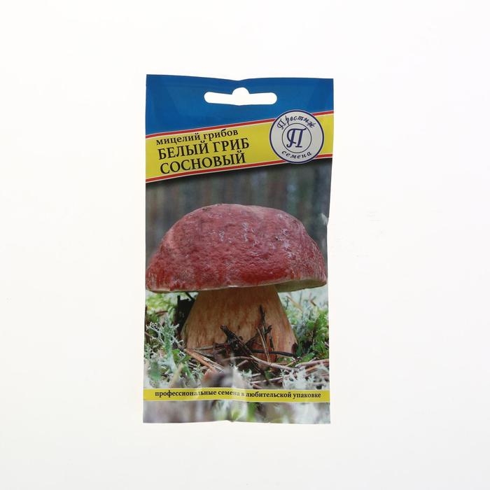 Мицелий Белый гриб сосновый, 50 мл Мицелий Белый гриб сосновый, 50 мл