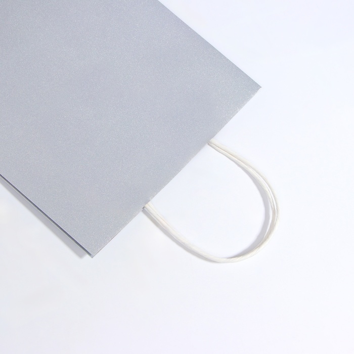 Пакет подарочный бумажный с глиттером серебрянный, 21 х 11 х 27 см Пакет подарочный бумажный с глиттером серебрянный, 21 х 11 х 27 см