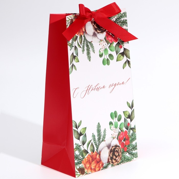 Пакет подарочный новогодний с лентой «Новогодняя пора», 13 х 23 х 7 см, Новый год Пакет подарочный новогодний с лентой «Новогодняя пора», 13 х 23 х 7 см, Новый год