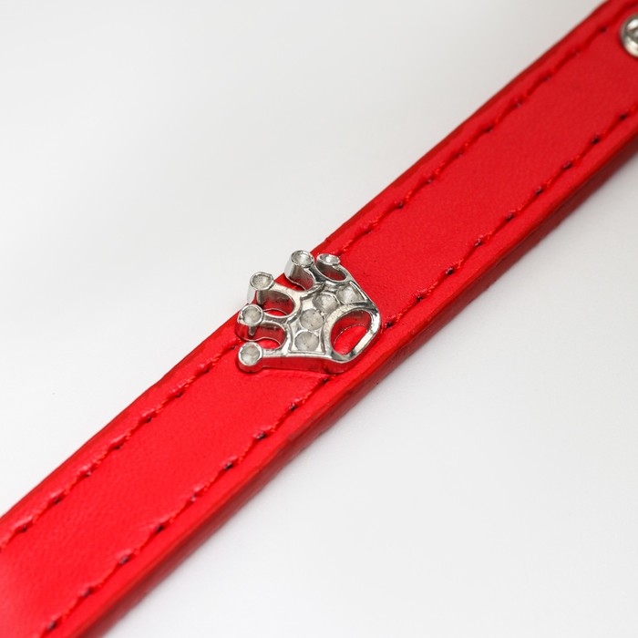 Ошейник Ошейник "Корона" с металлическим декором и со стразами, 36 х 1,4 см, ОШ 24-31, красный