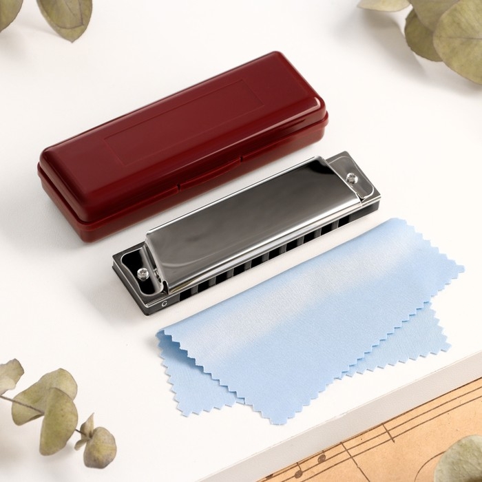 Губная гармошка Music Life T10 C диатоническая, 10 отверстий, с футляром Губная гармошка Music Life T10 C диатоническая, 10 отверстий, с футляром