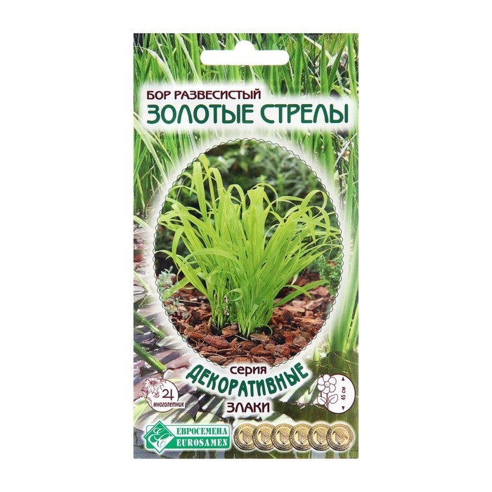 Семена цветов Бор развесистый  Семена цветов Бор развесистый "Золотые Стрелы", 5 шт