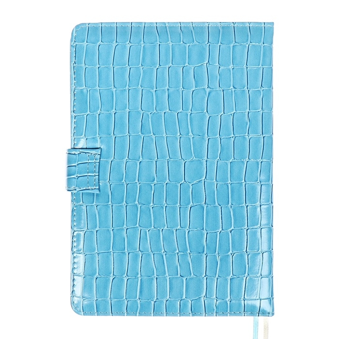 Ежедневник датированный 2025 года A5, 168 листов, deVENTE. Barbara, твердая обложка кожзам с поролоном, перфорацией, ляссе, блок 70, голубой Ежедневник датированный 2025 года A5, 168 листов, deVENTE. Barbara, твердая обложка кожзам с поролоном, перфорацией, ляссе, блок 70, голубой