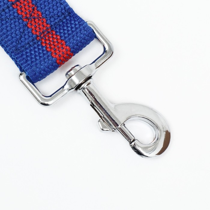 Поводок 5 м х 4 см, сине-красный Поводок 5 м х 4 см, сине-красный