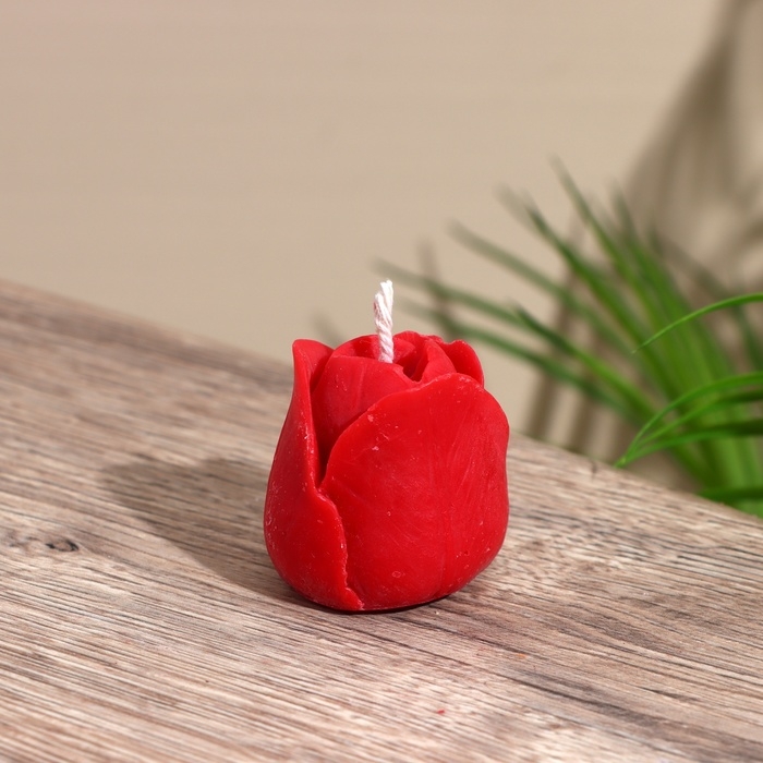 Свеча  Свеча "Тюльпан" 4х4х4 см, соевый воск