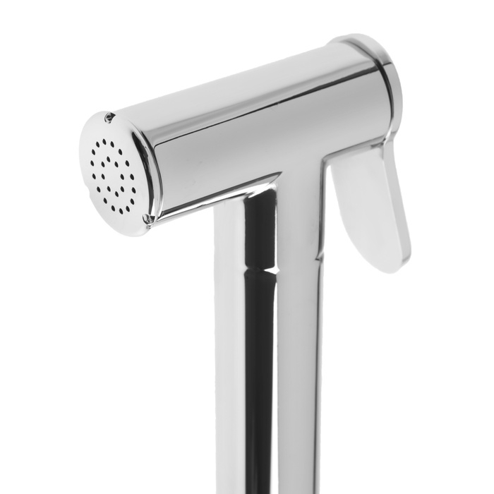 Гигиеническая лейка ZEIN Z4163, 1 режим, цинк, цвет черный Гигиеническая лейка ZEIN Z4163, 1 режим, цинк, цвет черный