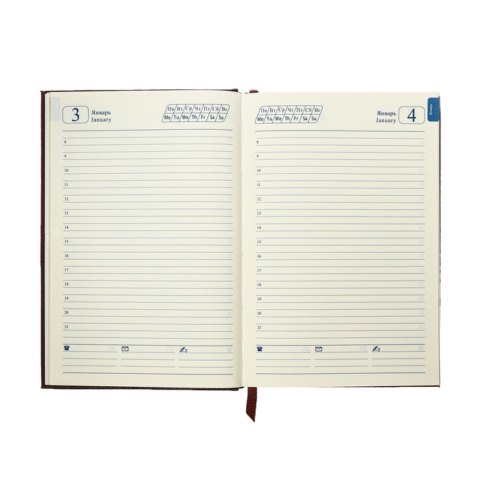 Ежедневник полудатированный, А5, 192 листа, линейка, обложка кожзам, золотой срез,  Ежедневник полудатированный, А5, 192 листа, линейка, обложка кожзам, золотой срез, "Крокодил", коричневый
