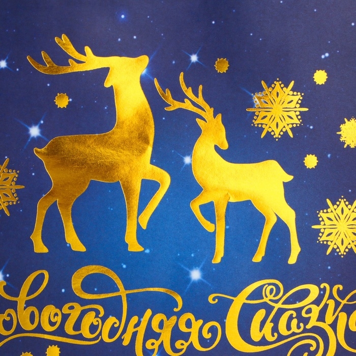 Новый год. Пакет бумажный подарочный новогодний с тиснением, Новый год. Пакет бумажный подарочный новогодний с тиснением, "С Новым Годом!" 27 х 21 х 11 см.