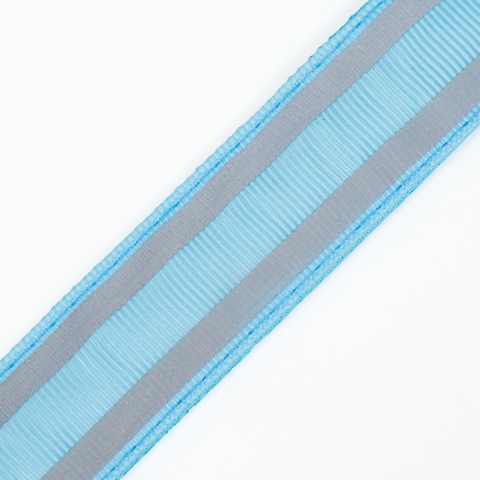 Ошейник с подсветкой Двойная полоса размер M, ОШ 40-48 х 2,5 см, 3 режима свечения голубой 977224 Ошейник с подсветкой Двойная полоса размер M, ОШ 40-48 х 2,5 см, 3 режима свечения голубой 977224