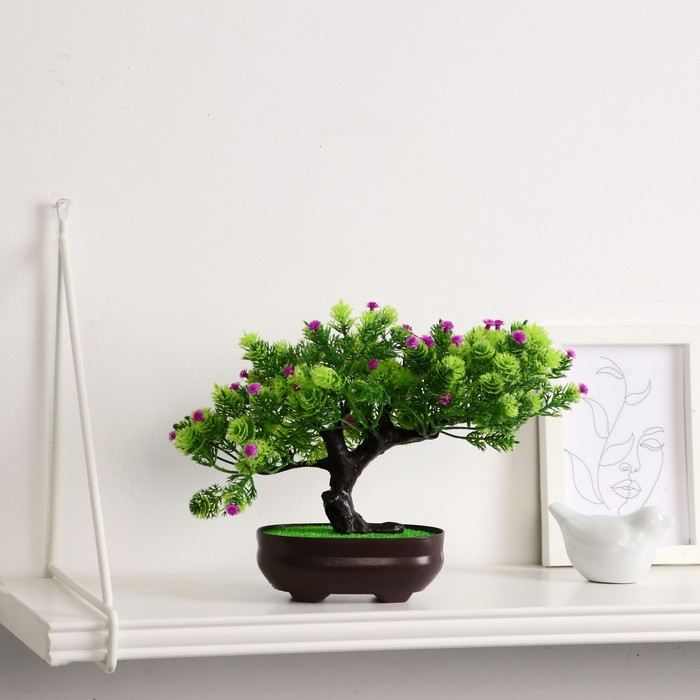 Бонсай в горшке Бонсай в горшке "Деревце изгиб" 12х17 см, микс