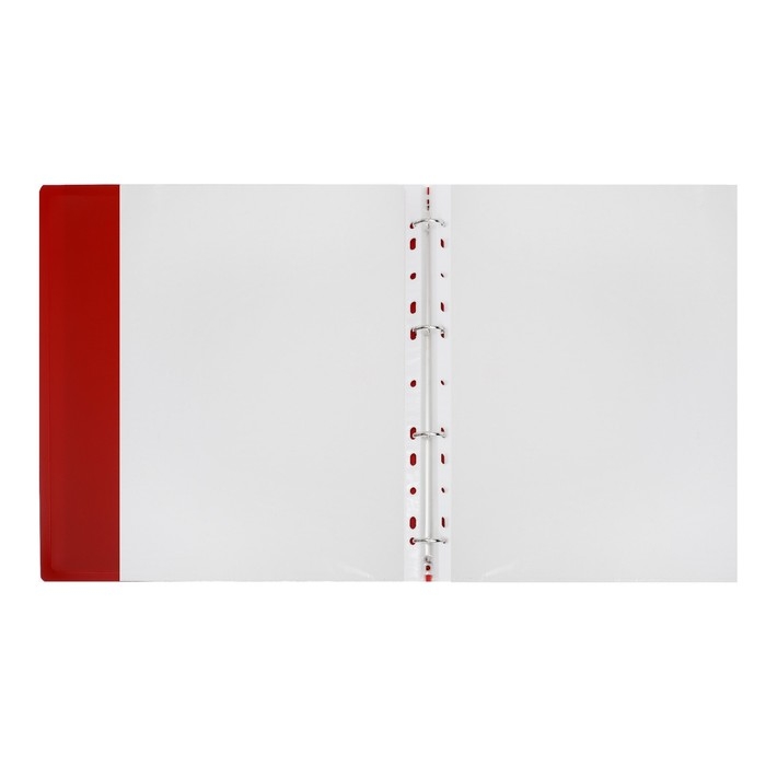 Папка-портфолио А4, Calligrata  Папка-портфолио А4, Calligrata "Веселая школа", пластиковая, на 4 кольцах, для школьника, 20 файлов