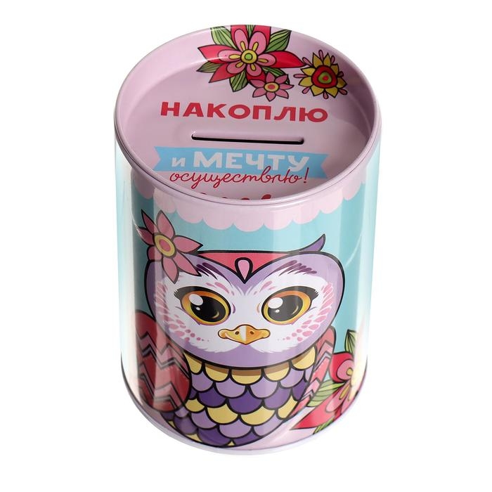 Копилка «Накоплю и мечту осуществлю» Копилка «Накоплю и мечту осуществлю»