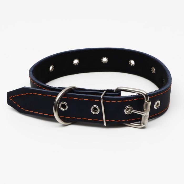 Ошейник кожаный на синтепоне, безразмерный, 65 х 3 см, ОШ 22-55 см, синий Ошейник кожаный на синтепоне, безразмерный, 65 х 3 см, ОШ 22-55 см, синий