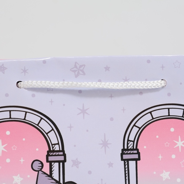 Пакет подарочный Kuromi-5, 180 × 227 мм