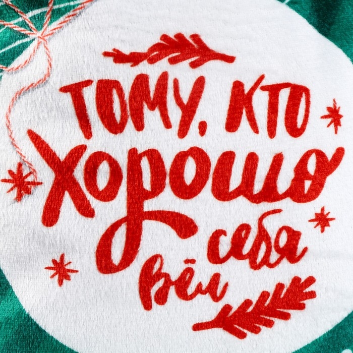 Сумка детская новогодняя «Тому, кто хорошо себя вёл», 35 х 30 см, на новый год