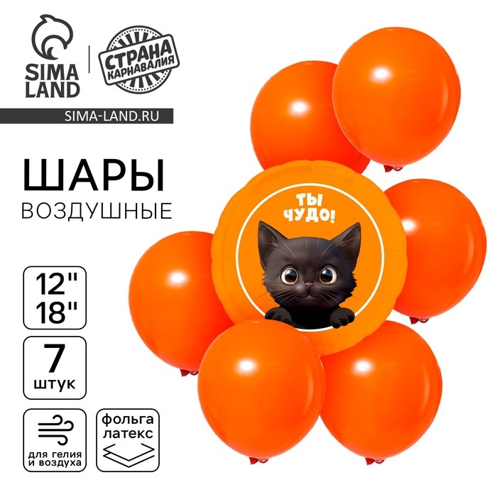Набор воздушных шаров Набор воздушных шаров "Котик. Ты чудо", 7 шт.