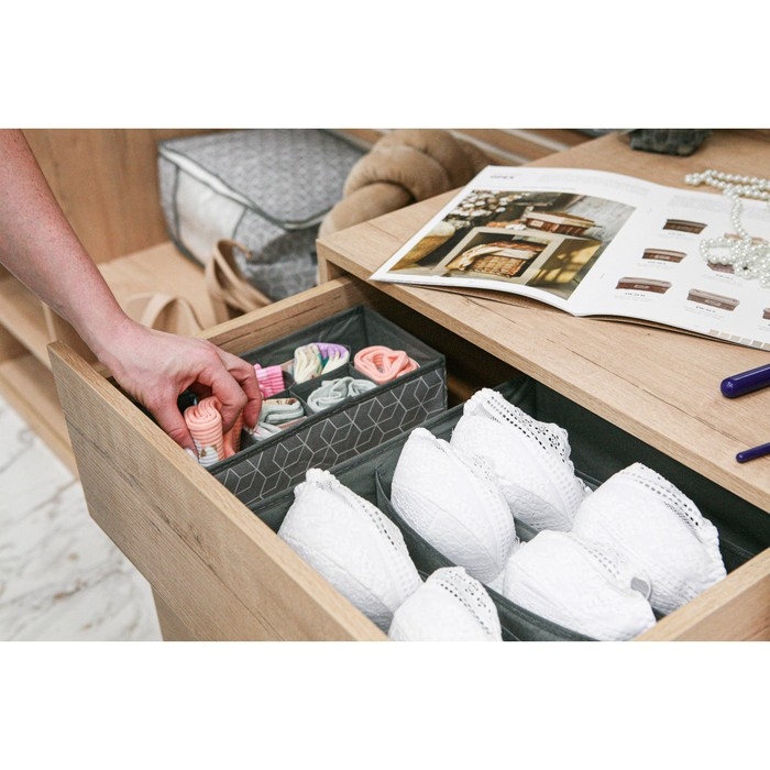 Органайзер для хранения белья Доляна «Фора», 7 ячеек, 34×30,5×10 см, цвет серый Органайзер для хранения белья Доляна «Фора», 7 ячеек, 34×30,5×10 см, цвет серый