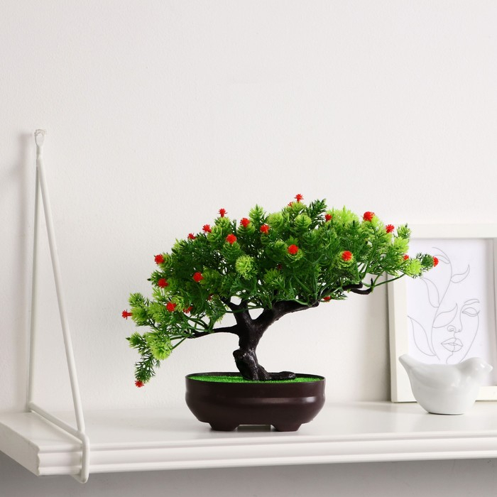 Бонсай в горшке Бонсай в горшке "Деревце изгиб" 12х17 см, микс