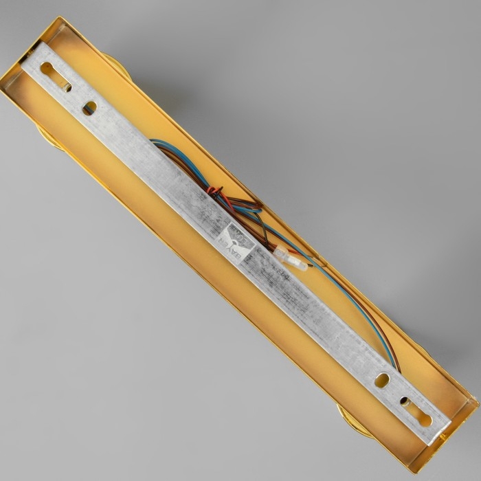 Спот Спот "Этнес" 2хGU10 золото 29,5х6,5х16,5 см