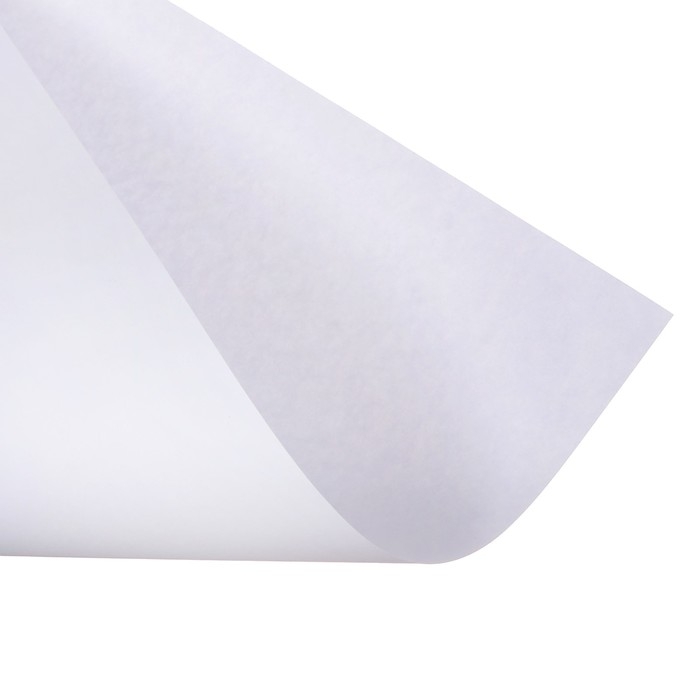 Набор ватманов чертёжных А1, 160г/м2, 20 листов Набор ватманов чертёжных А1, 160г/м2, 20 листов