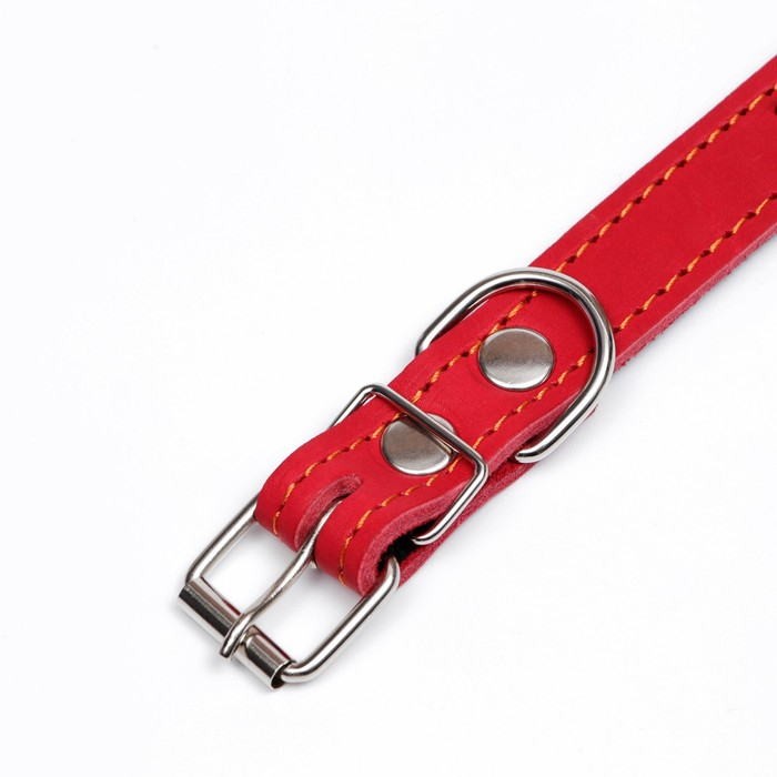 Ошейник кожаный на синтепоне Ошейник кожаный на синтепоне "Ёж", 56 х 2.5 см, ОШ 35-45 см, красный