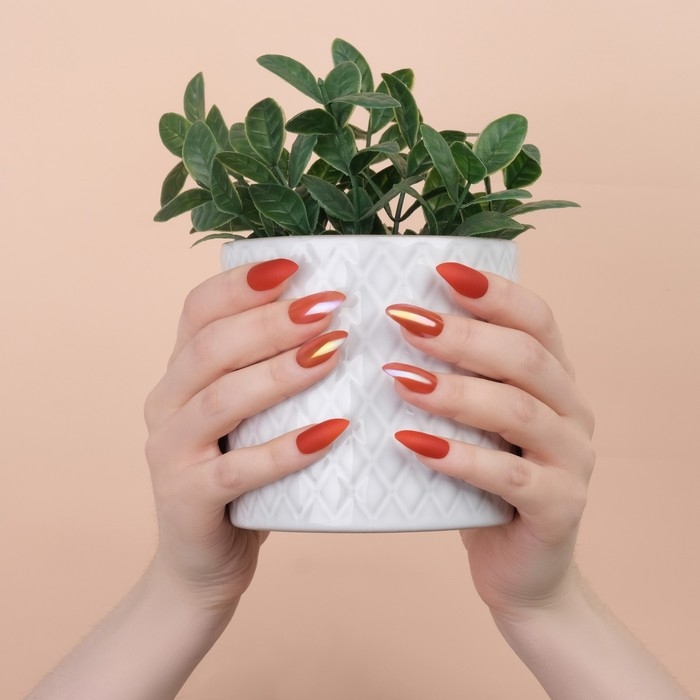 Накладные ногти, 24 шт, с клеевыми пластинами, форма миндаль, матовый/голография, цвет коралловый Накладные ногти, 24 шт, с клеевыми пластинами, форма миндаль, матовый/голография, цвет коралловый