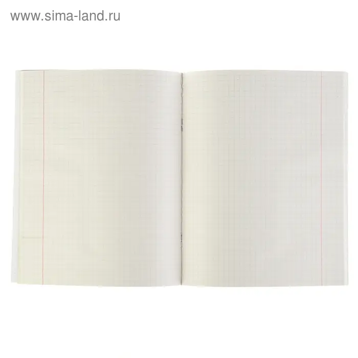 Тетрадь 48 листов клетка "Бордо", обложка бумвинил