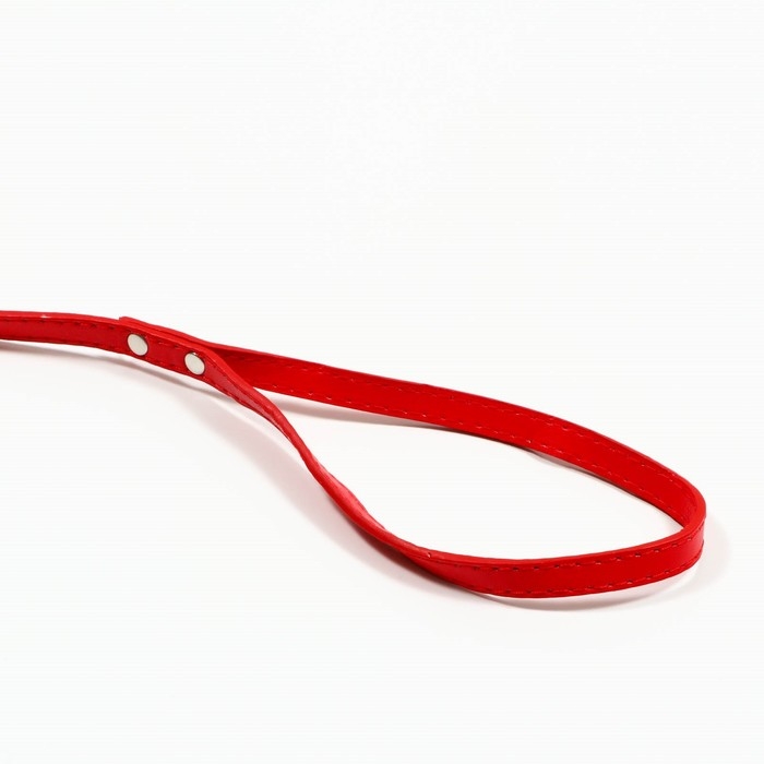 Поводок  Поводок "Основа" 120 х 1 см, красный