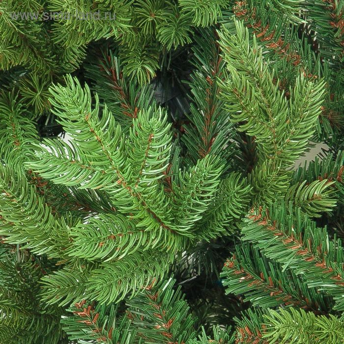 Ель искусственная  Ель искусственная "Графская" премиум стройная 180 см, d нижнего яруса 113 см, 1612 ветки